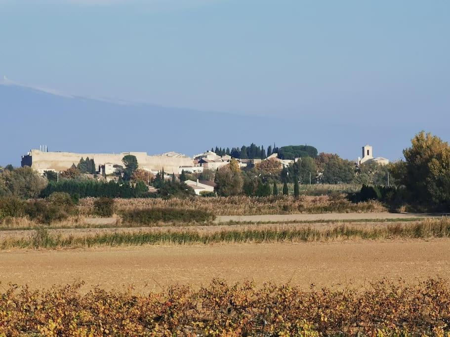 Petit Cocon Daire Courthézon Dış mekan fotoğraf